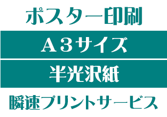 大きめの写真にピッタリ A3半光沢紙印刷 ツヤがあり反射しにくい